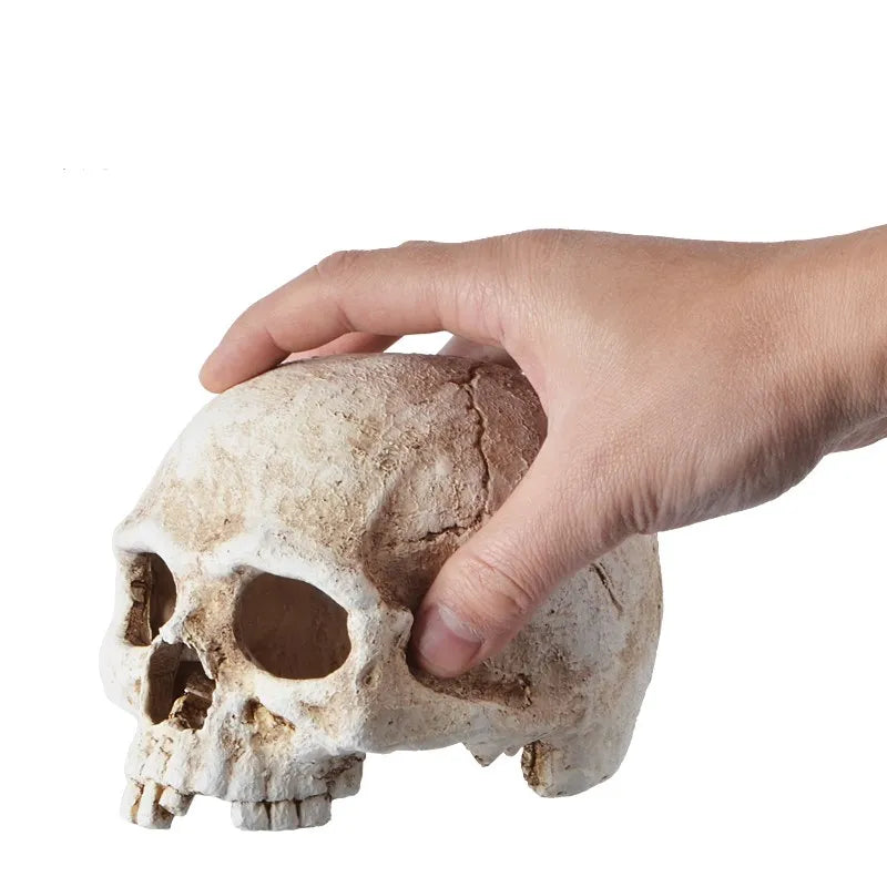 🐍 Mystisk Dödskallegrotta – Dekoration för Akvarium & Reptilterrarium