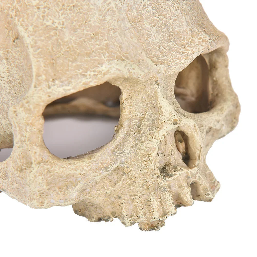 🐍 Mystisk Dödskallegrotta – Dekoration för Akvarium & Reptilterrarium