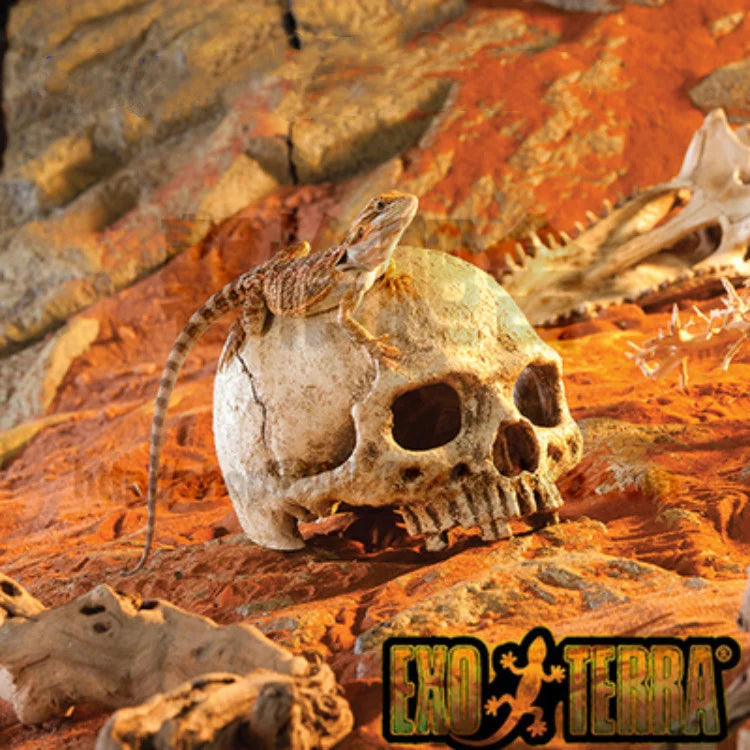 🐍 Mystisk Dödskallegrotta – Dekoration för Akvarium & Reptilterrarium