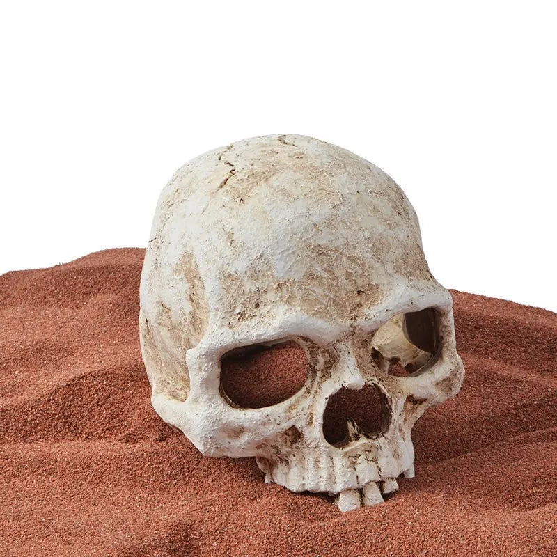 🐍 Mystisk Dödskallegrotta – Dekoration för Akvarium & Reptilterrarium