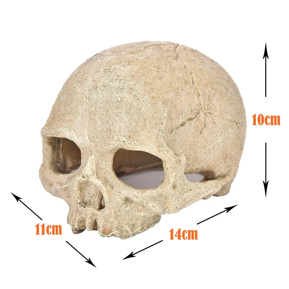 🐍 Mystisk Dödskallegrotta – Dekoration för Akvarium & Reptilterrarium